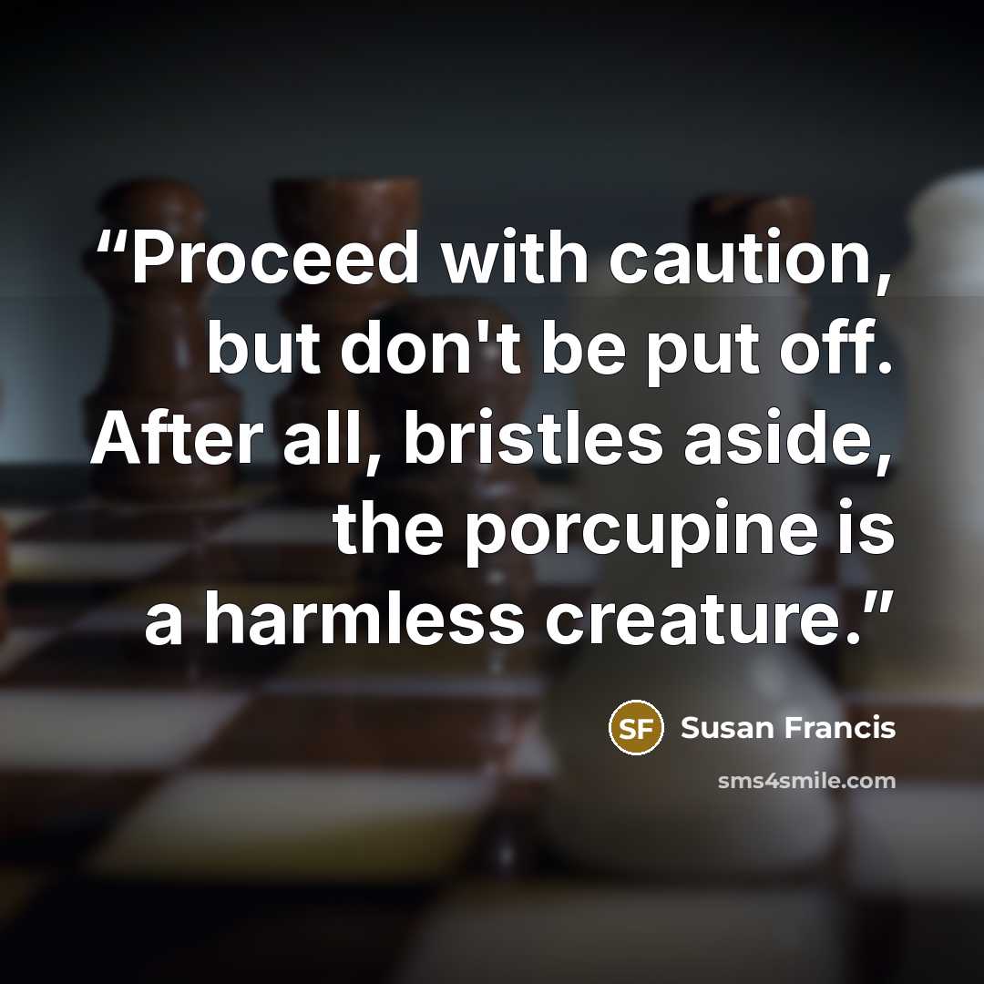 “Proceed with caution, but don't be put off. After all, bristles aside, the porcupine is a harmless creature.” quote by Susan Francis