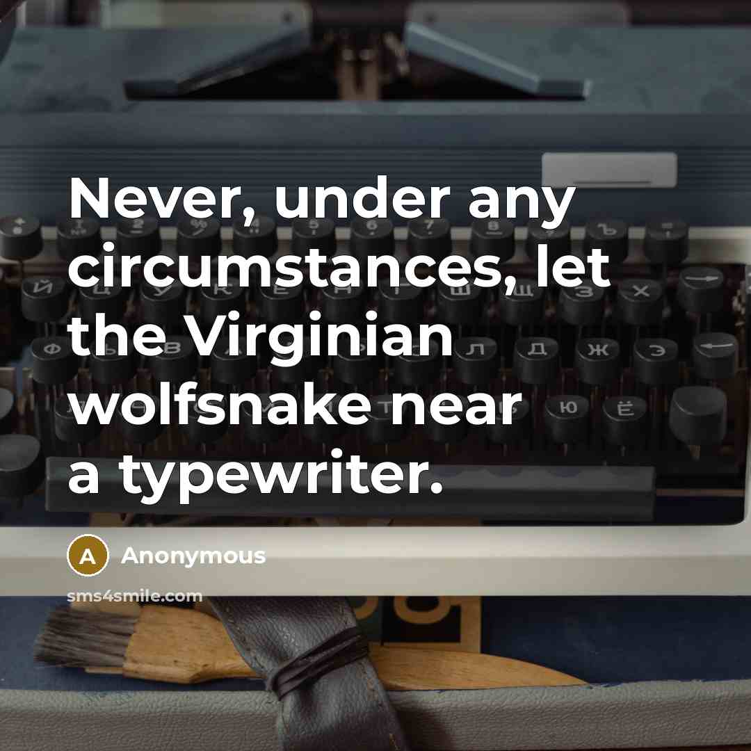 “Never, under any circumstances, let the Virginian wolfsnake near a typewriter.” quote by Anonymous