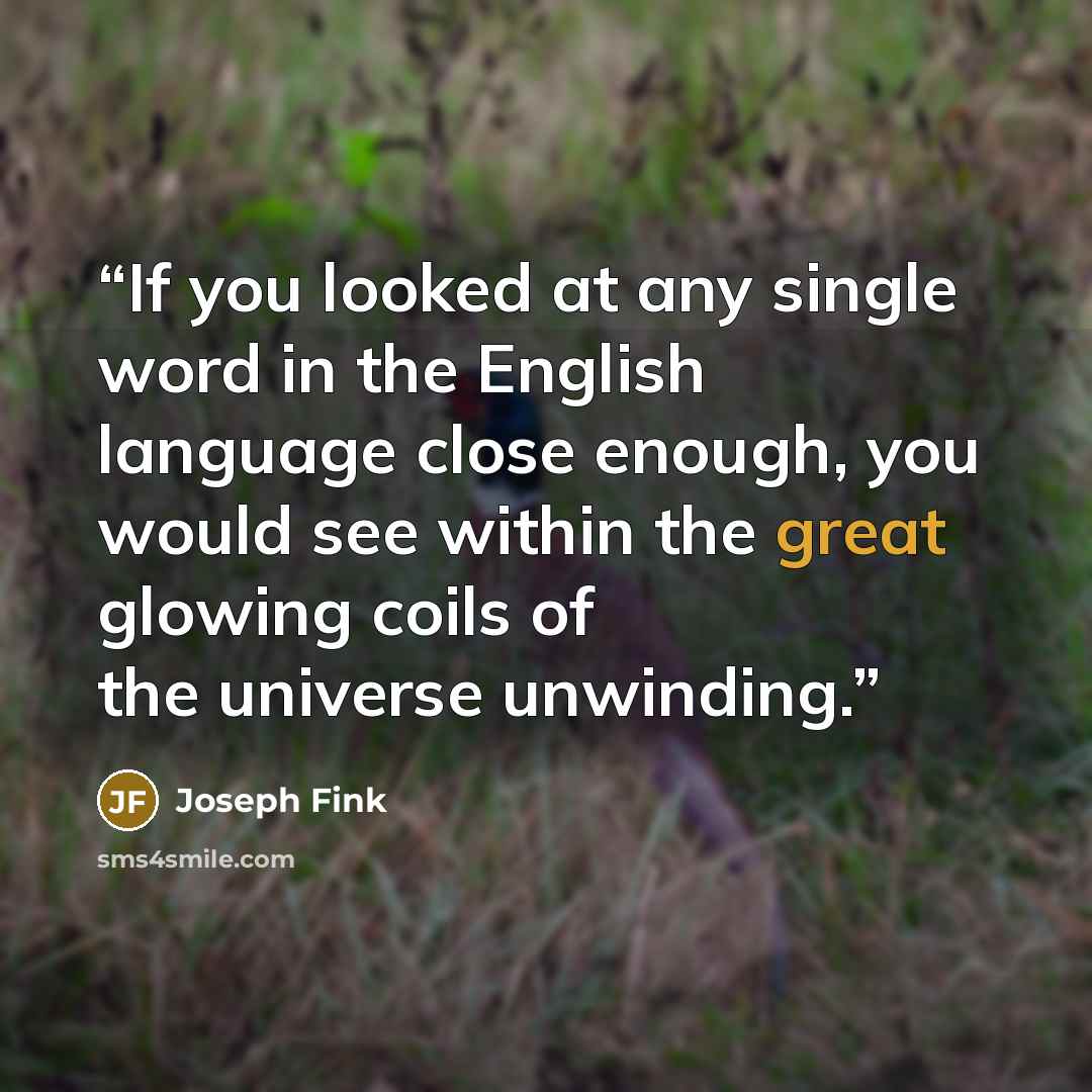 “If you looked at any single word in the English language close enough, you would see within the great glowing coils of the universe unwinding.” quote by Joseph Fink