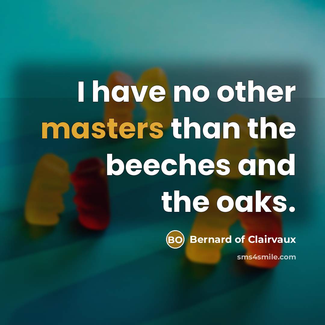 “I have no other masters than the beeches and the oaks.” quote by Bernard of Clairvaux
