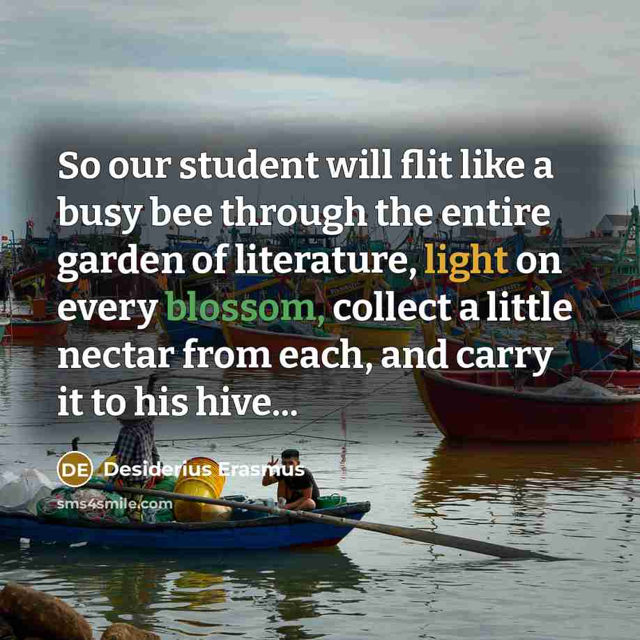 “So our student will flit like a busy bee through the entire garden of literature, light on every blossom, collect a little nectar from each, and carry it to his hive...” quote by Desiderius Erasmus