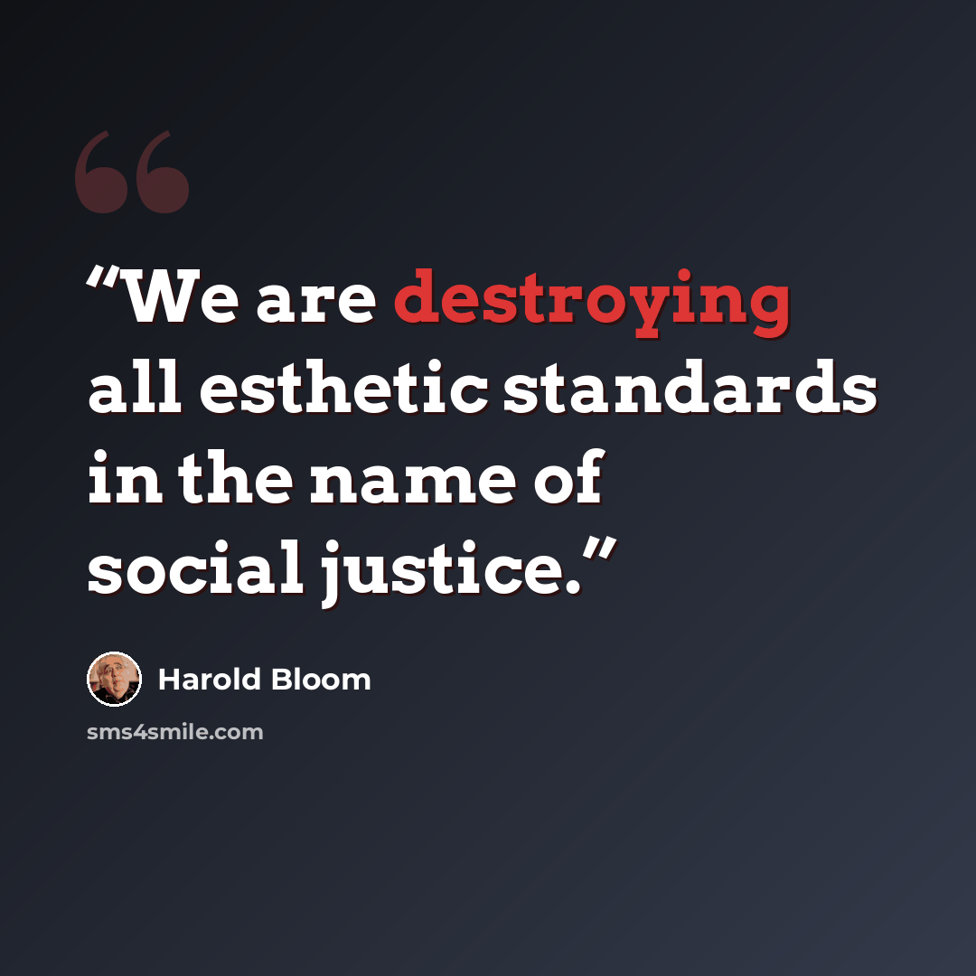 “We are destroying all esthetic standards in the name of social justice.” quote by Harold Bloom