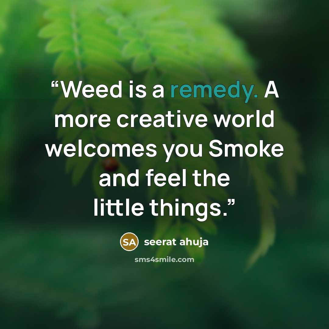 “Weed is a remedy. A more creative world welcomes you Smoke and feel the little things.” quote by seerat ahuja