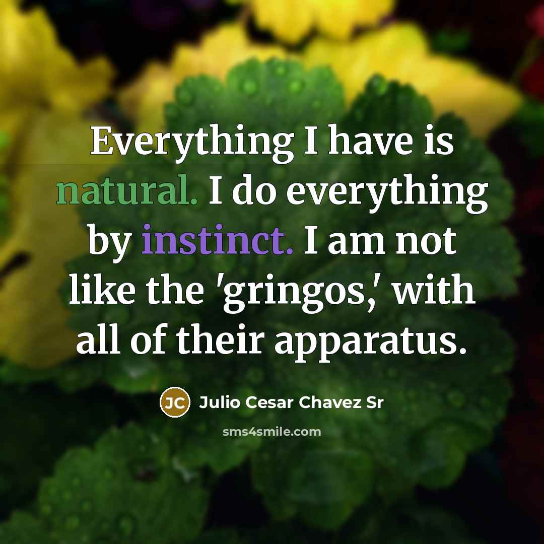 “Everything I have is natural. I do everything by instinct. I am not like the 'gringos,' with all of their apparatus.” quote by Julio Cesar Chavez Sr