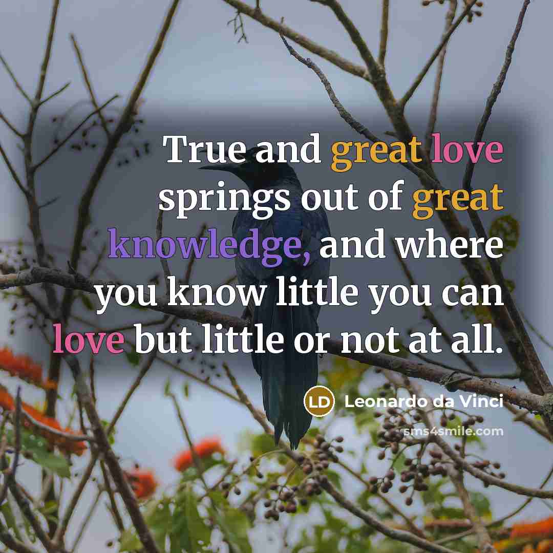 “True and great love springs out of great knowledge, and where you know little you can love but little or not at all.” quote by Leonardo da Vinci