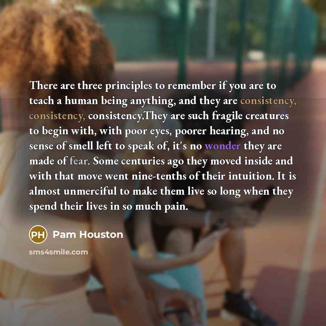 “There are three principles to remember if you are to teach a human being anything, and they are consistency, consistency, consistency.They are such fragile creatures to begin with, with poor eyes, poorer hearing, and no sense of smell left to speak of, it's no wonder they are made of fear. Some…” quote by Pam Houston