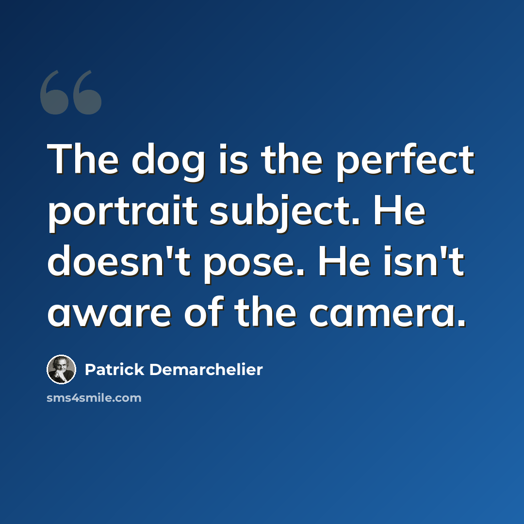 “The dog is the perfect portrait subject. He doesn't pose. He isn't aware of the camera.” quote by Patrick Demarchelier