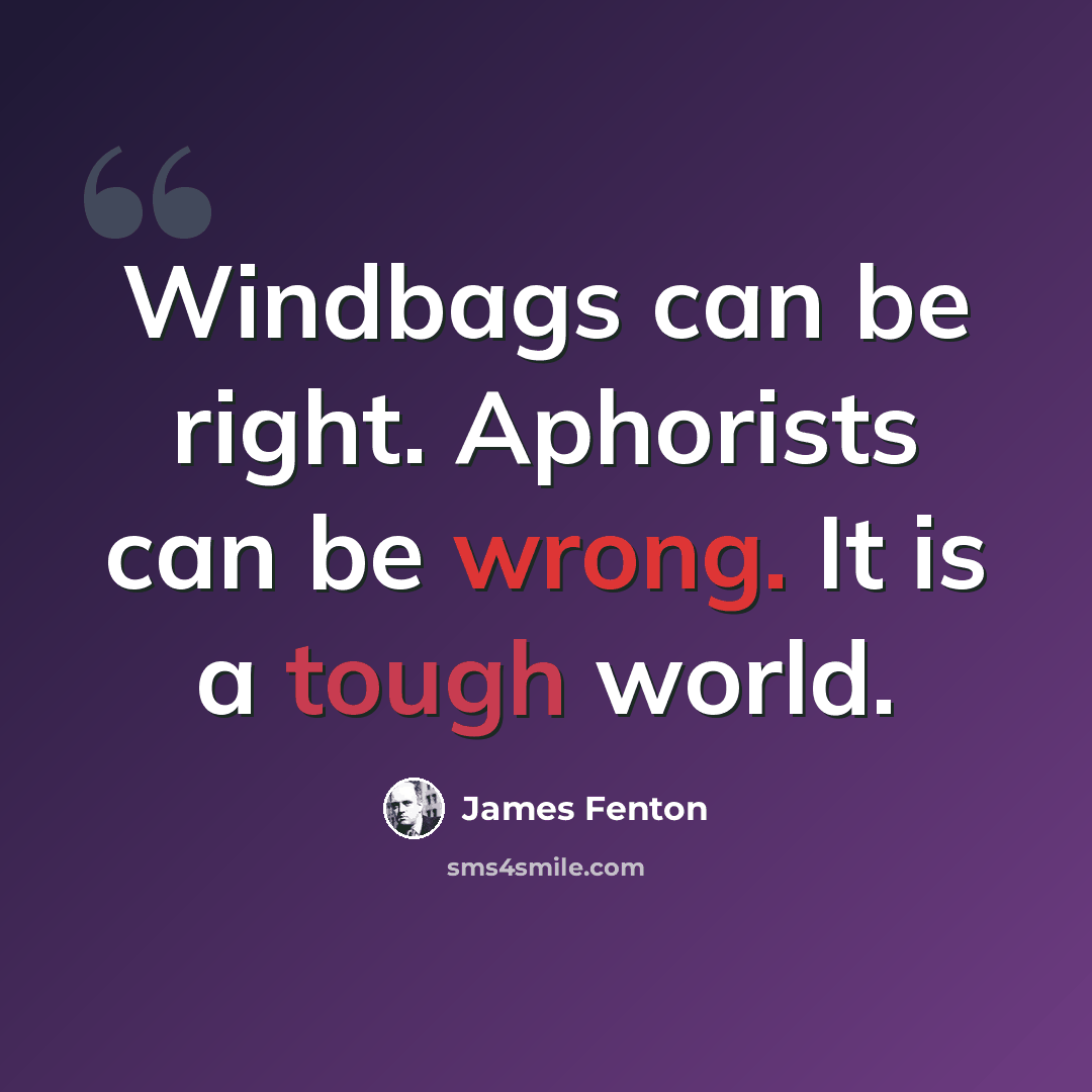 “Windbags can be right. Aphorists can be wrong. It is a tough world.” quote by James Fenton