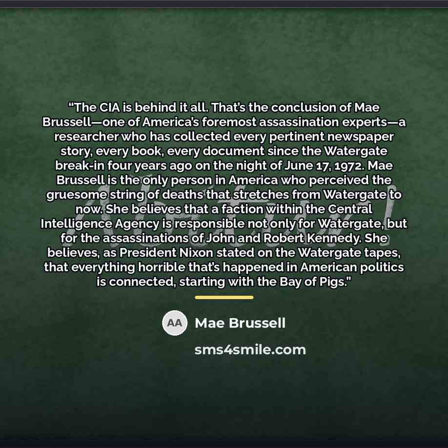 “The CIA is behind it all. That’s the conclusion of Mae Brussell—one of America’s foremost assassination experts—a researcher who has collected every pertinent newspaper story, every book, every document since the Watergate break-in four years ago on the night of June 17, 1972. Mae Brussell is the…” quote by Mae Brussell
