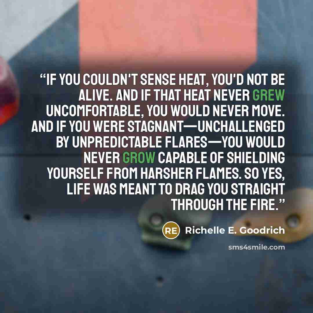 “If you couldn't sense heat, you'd not be alive. And if that heat never grew uncomfortable, you would never move. And if you were stagnant—unchallenged by unpredictable flares—you would never grow capable of shielding yourself from harsher flames. So yes, life was meant to drag you straight through…” quote by Richelle E. Goodrich