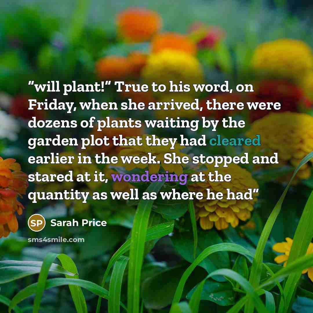 “will plant!” True to his word, on Friday, when she arrived, there were dozens of plants waiting by the garden plot that they had cleared earlier in the week. She stopped and stared at it, wondering at the quantity as well as where he had” quote by Sarah Price