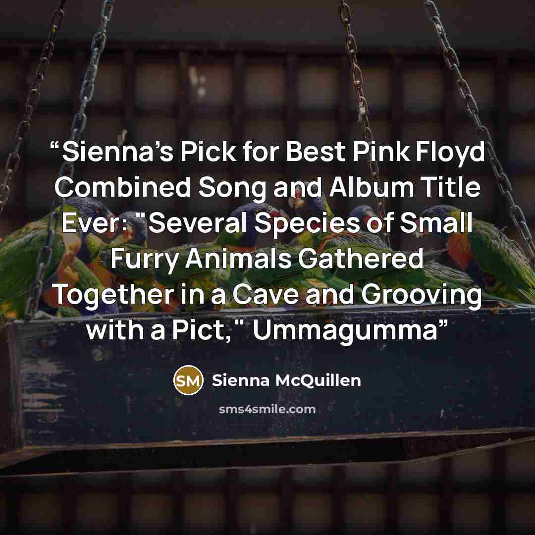 “Sienna's Pick for Best Pink Floyd Combined Song and Album Title Ever: "Several Species of Small Furry Animals Gathered Together in a Cave and Grooving with a Pict," Ummagumma” quote by Sienna McQuillen