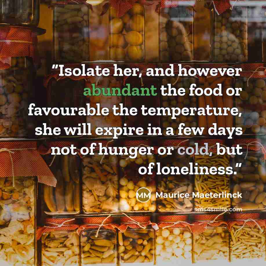 “Isolate her, and however abundant the food or favourable the temperature, she will expire in a few days not of hunger or cold, but of loneliness.” quote by Maurice Maeterlinck