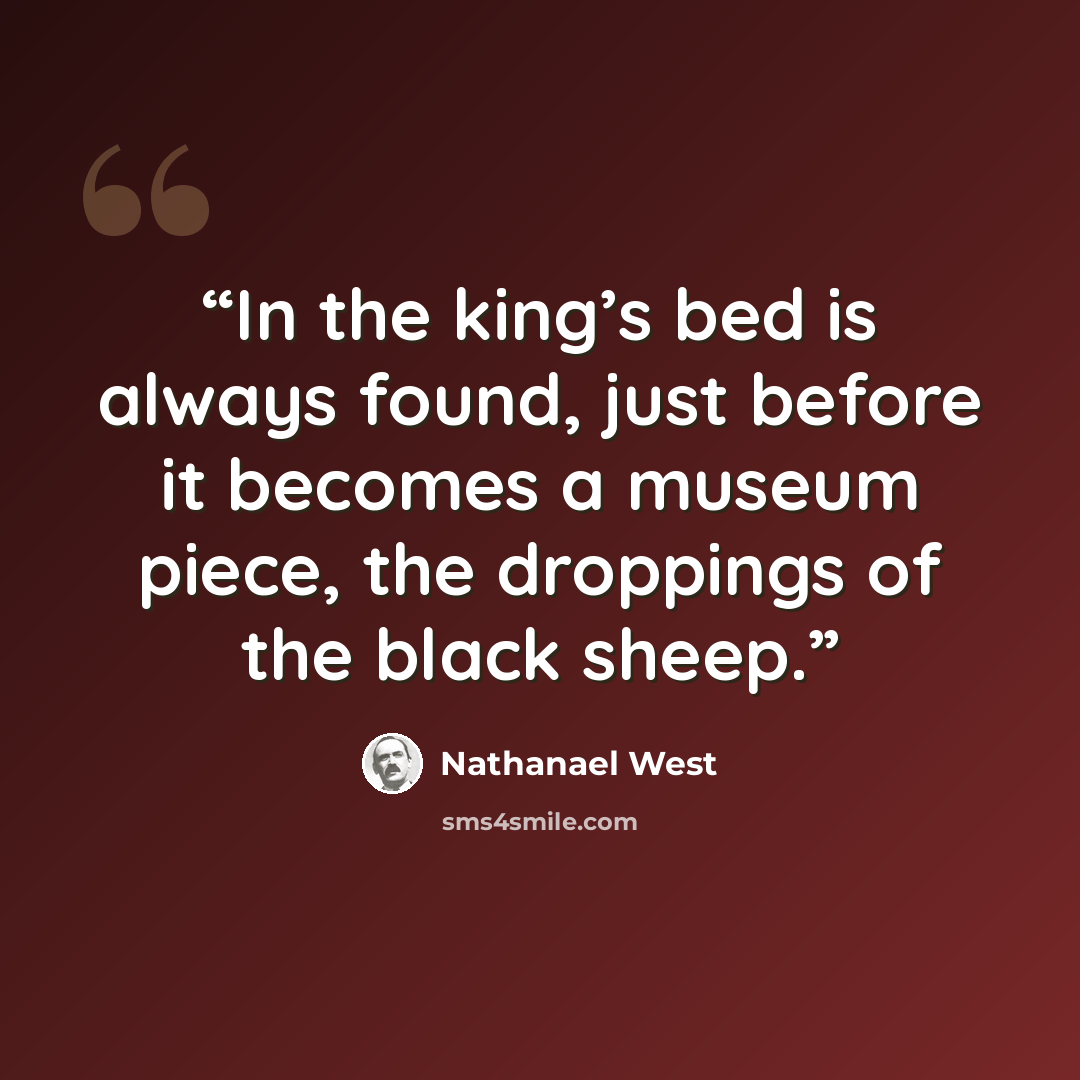 “In the king’s bed is always found, just before it becomes a museum piece, the droppings of the black sheep.” quote by Nathanael West
