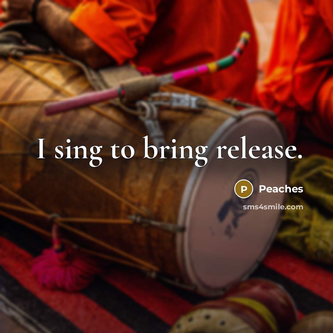 “I sing to bring release.” quote by Peaches
