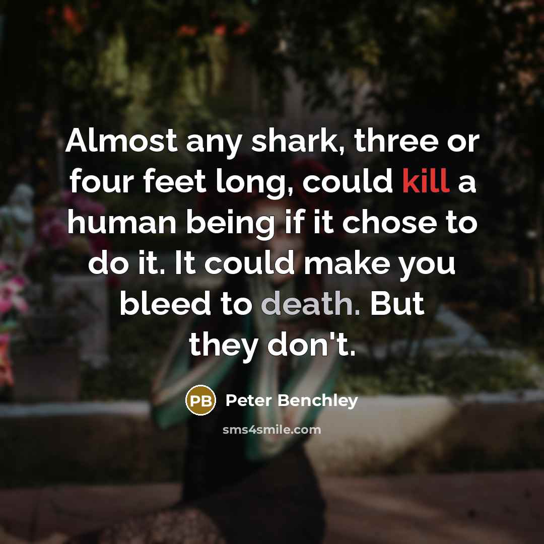“Almost any shark, three or four feet long, could kill a human being if it chose to do it. It could make you bleed to death. But they don't.” quote by Peter Benchley