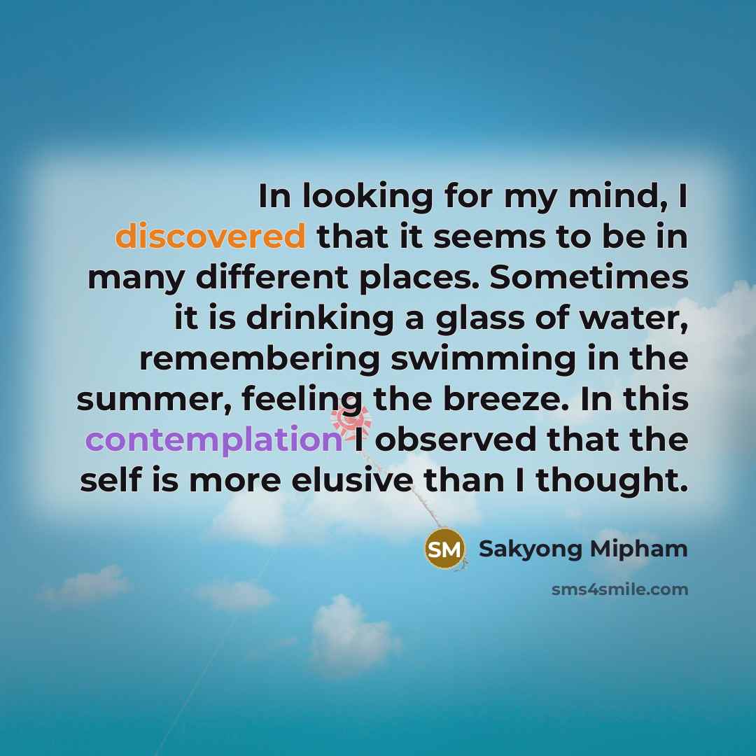“In looking for my mind, I discovered that it seems to be in many different places. Sometimes it is drinking a glass of water, remembering swimming in the summer, feeling the breeze. In this contemplation I observed that the self is more elusive than I thought.” quote by Sakyong Mipham