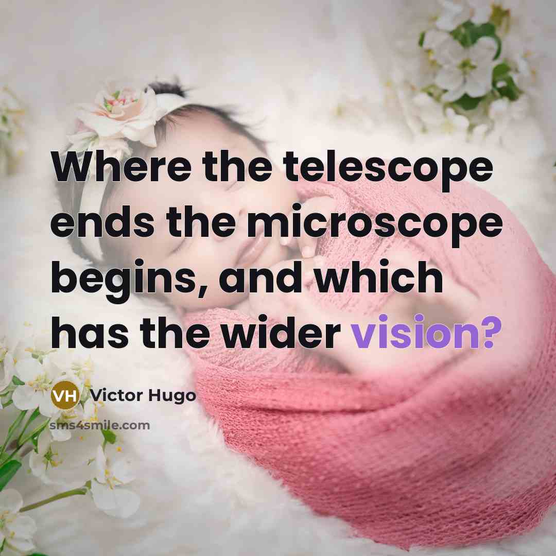“Where the telescope ends the microscope begins, and which has the wider vision?” quote by Victor Hugo