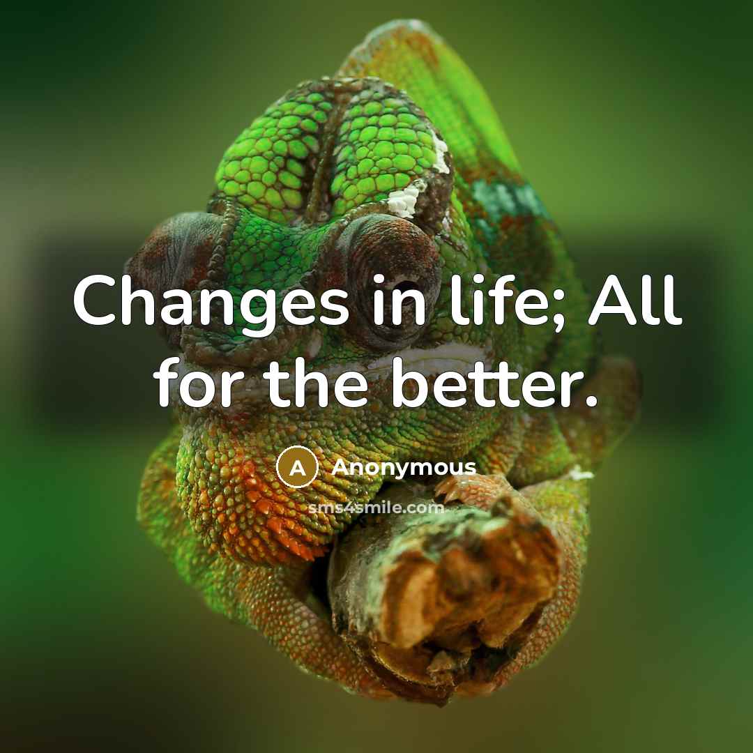 “Changes in life; All for the better.” quote by Anonymous