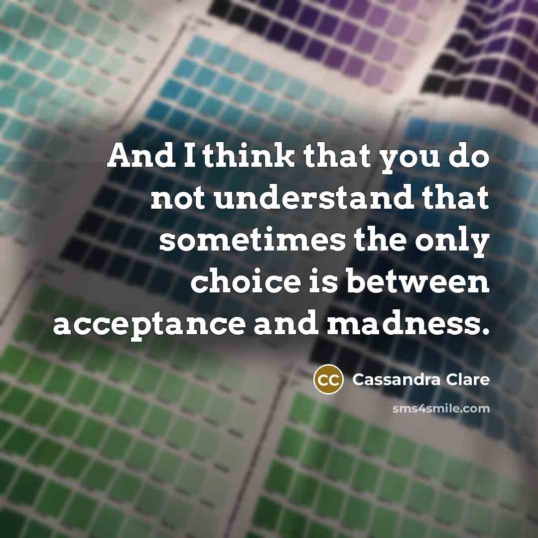 “And I think that you do not understand that sometimes the only choice is between acceptance and madness.” quote by Cassandra Clare