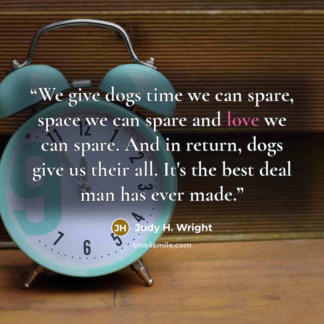 “We give dogs time we can spare, space we can spare and love we can spare. And in return, dogs give us their all. It's the best deal man has ever made.” quote by Judy H. Wright