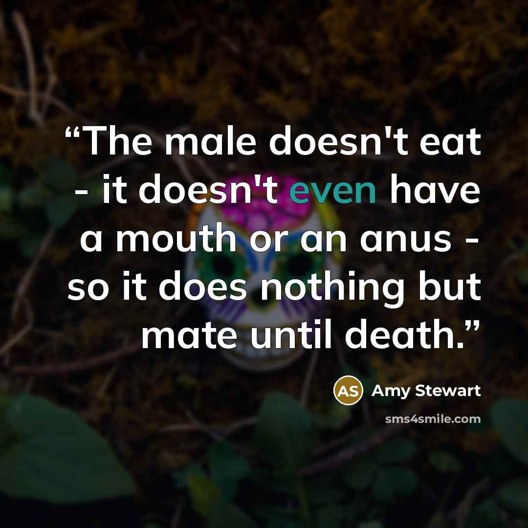 “The male doesn't eat - it doesn't even have a mouth or an anus - so it does nothing but mate until death.” quote by Amy Stewart