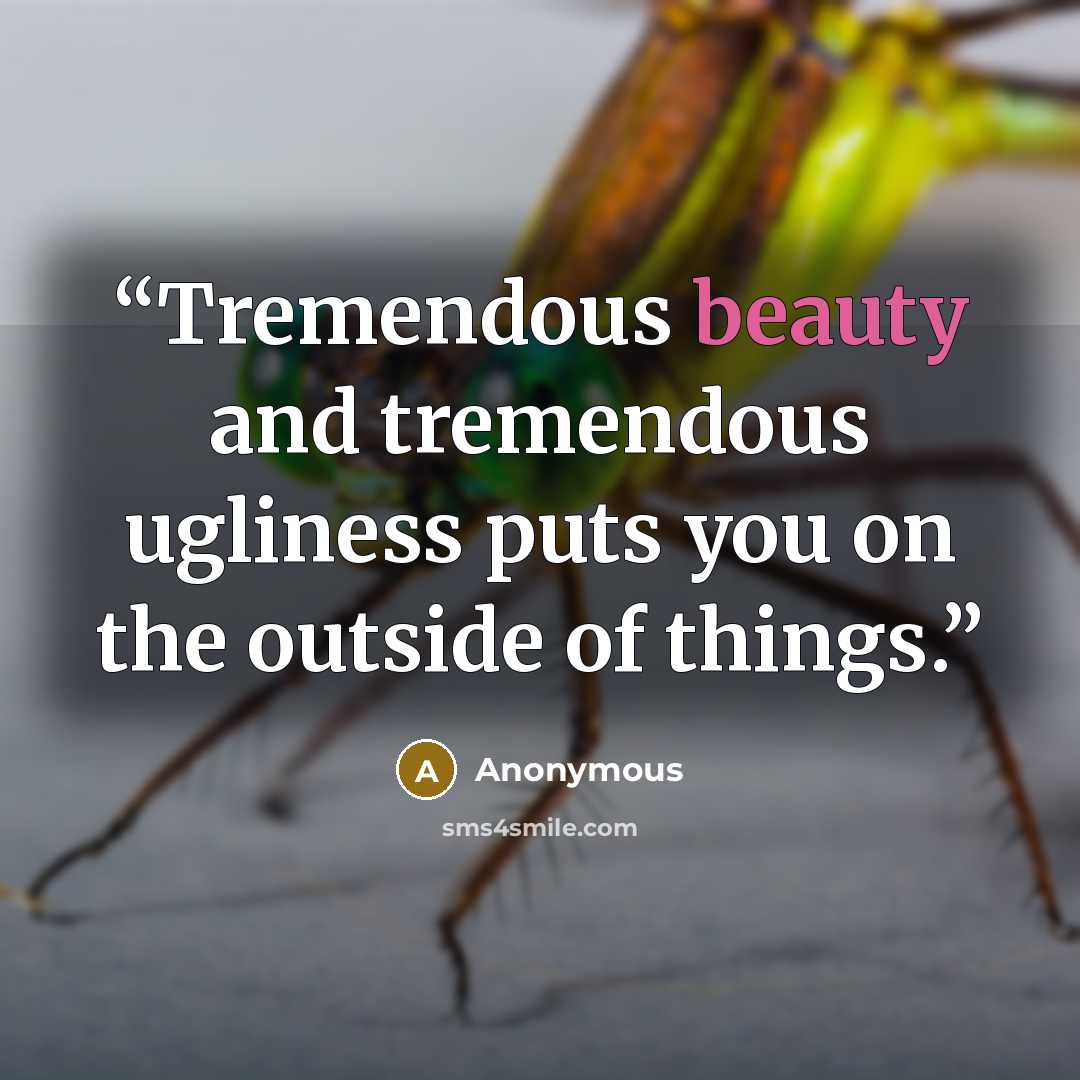 “Tremendous beauty and tremendous ugliness puts you on the outside of things.” quote by Anonymous