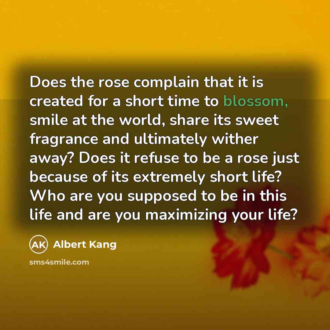 “Does the rose complain that it is created for a short time to blossom, smile at the world, share its sweet fragrance and ultimately wither away? Does it refuse to be a rose just because of its extremely short life? Who are you supposed to be in this life and are you maximizing your life?” quote by Albert Kang