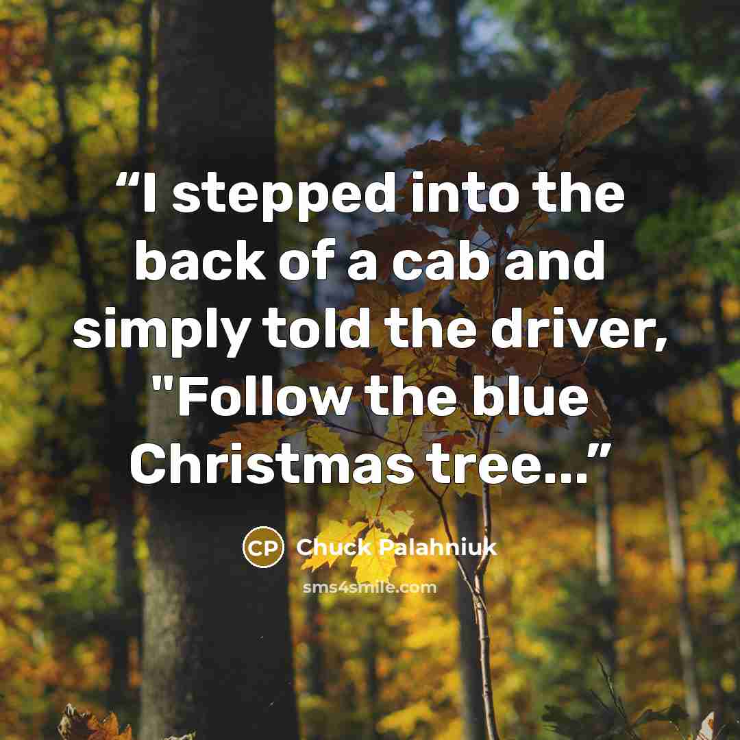 “I stepped into the back of a cab and simply told the driver, "Follow the blue Christmas tree...” quote by Chuck Palahniuk