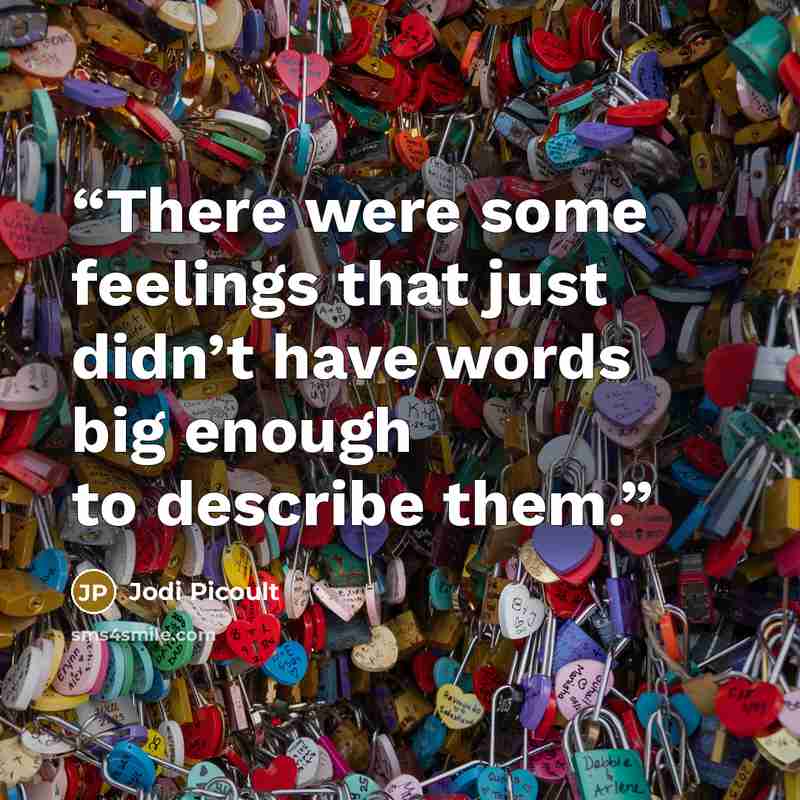 “There were some feelings that just didn’t have words big enough to describe them.” quote by Jodi Picoult