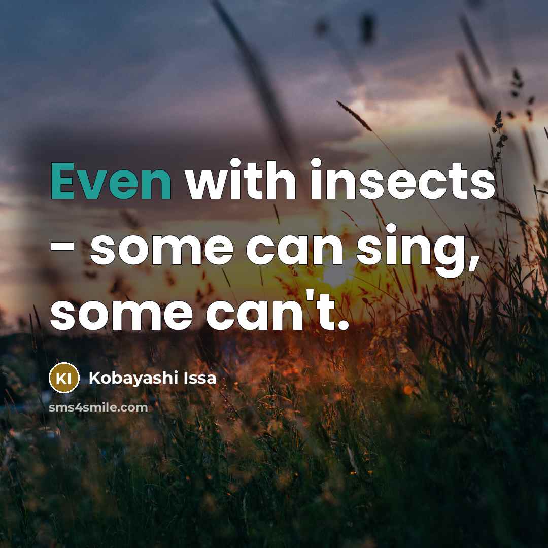 “Even with insects - some can sing, some can't.” quote by Kobayashi Issa