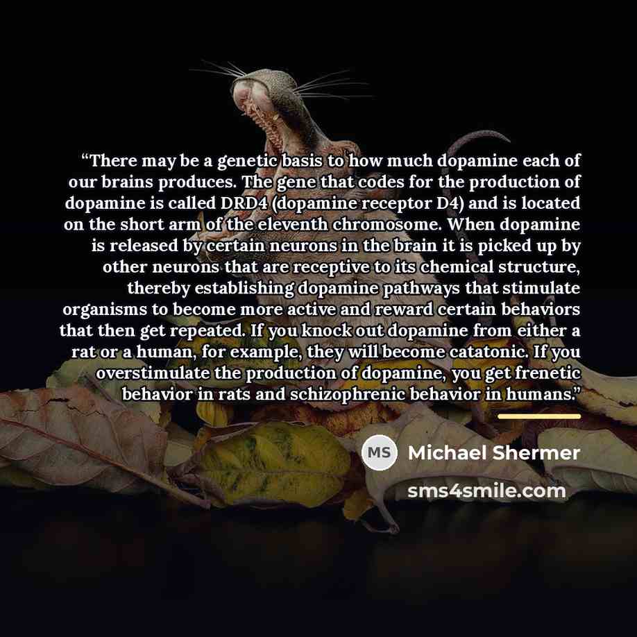 “There may be a genetic basis to how much dopamine each of our brains produces. The gene that codes for the production of dopamine is called DRD4 (dopamine receptor D4) and is located on the short arm of the eleventh chromosome. When dopamine is released by certain neurons in the brain it is picked…” quote by Michael Shermer