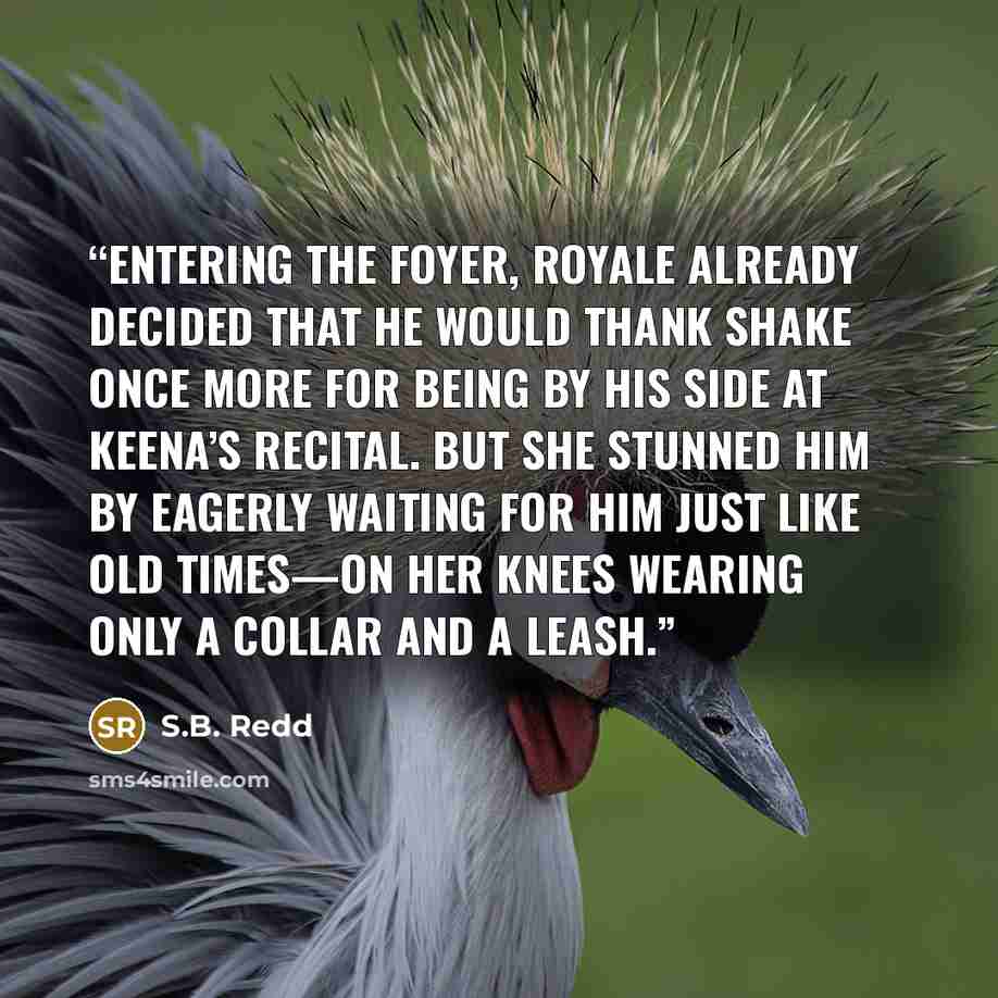 “Entering the foyer, Royale already decided that he would thank Shake once more for being by his side at Keena’s recital. But she stunned him by eagerly waiting for him just like old times—on her knees wearing only a collar and a leash.” quote by S.B. Redd