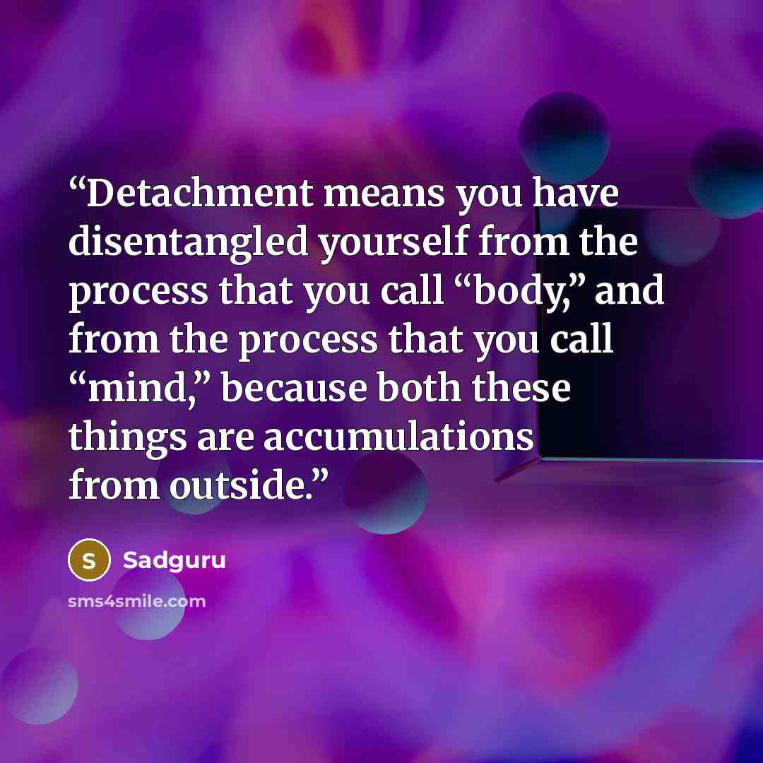 “Detachment means you have disentangled yourself from the process that you call “body,” and from the process that you call “mind,” because both these things are accumulations from outside.” quote by Sadguru
