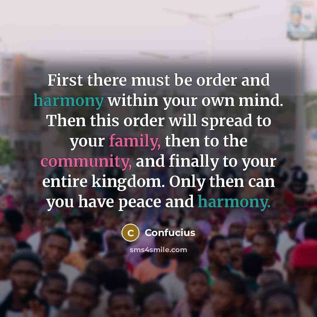 “First there must be order and harmony within your own mind. Then this order will spread to your family, then to the community, and finally to your entire kingdom. Only then can you have peace and harmony.” quote by Confucius