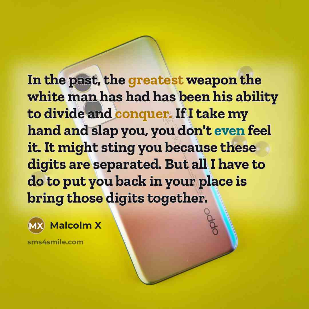 “In the past, the greatest weapon the white man has had has been his ability to divide and conquer. If I take my hand and slap you, you don't even feel it. It might sting you because these digits are separated. But all I have to do to put you back in your place is bring those digits together.” quote by Malcolm X