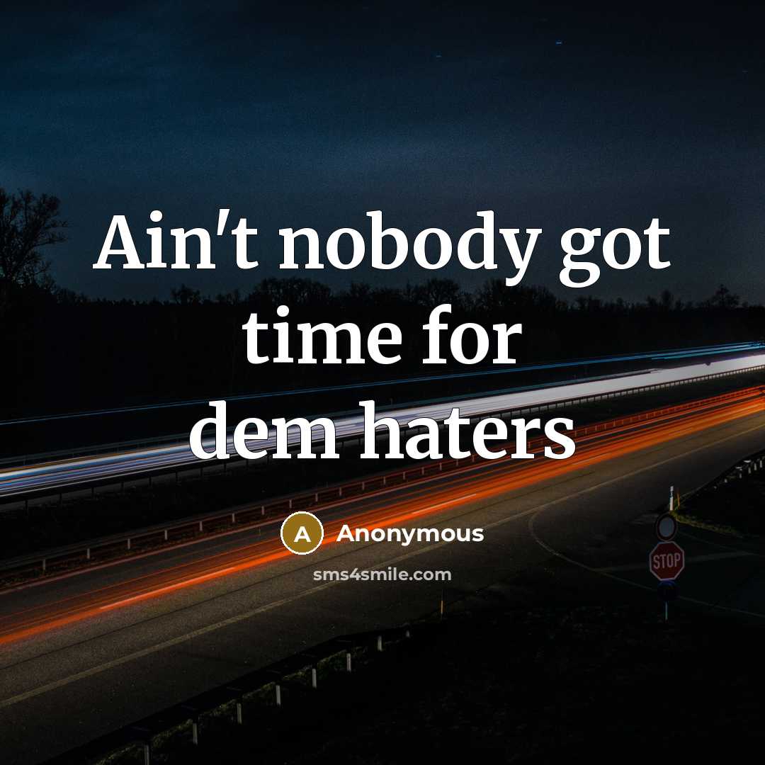“Ain't nobody got time for dem haters” quote by Anonymous