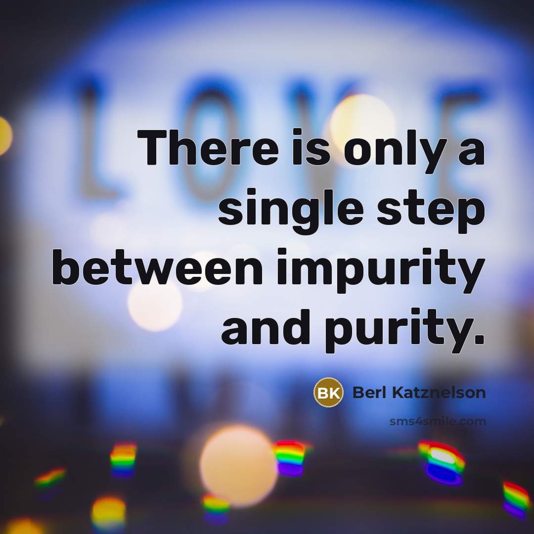 “There is only a single step between impurity and purity.” quote by Berl Katznelson