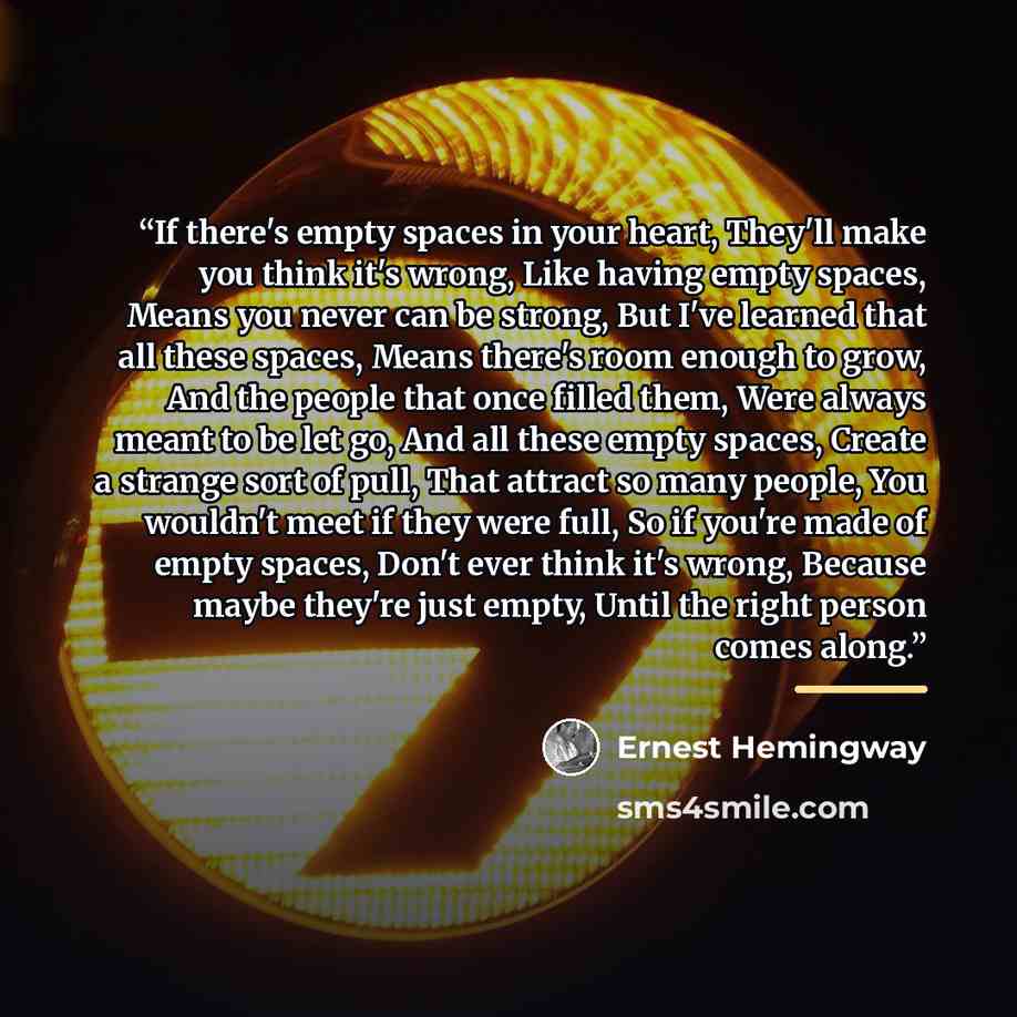 “If there's empty spaces in your heart, They'll make you think it's wrong, Like having empty spaces, Means you never can be strong, But I've learned that all these spaces, Means there's room enough to grow, And the people that once filled them, Were always meant to be let go, And all these empty…” quote by Ernest Hemingway