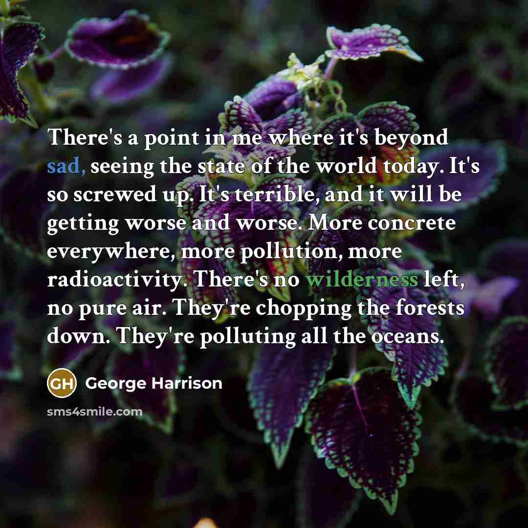 “There's a point in me where it's beyond sad, seeing the state of the world today. It's so screwed up. It's terrible, and it will be getting worse and worse. More concrete everywhere, more pollution, more radioactivity. There's no wilderness left, no pure air. They're chopping the forests down…” quote by George Harrison