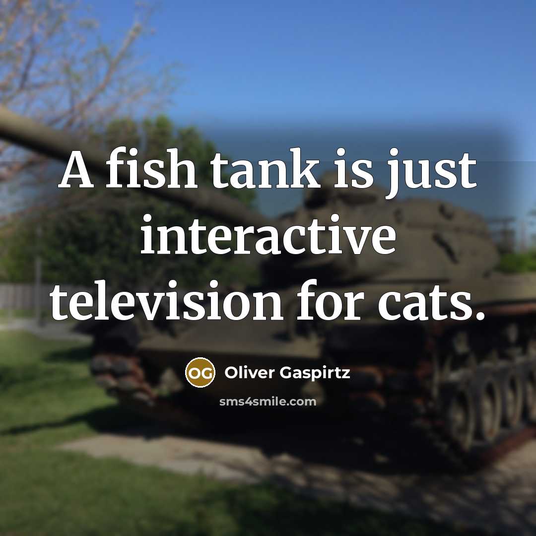 “A fish tank is just interactive television for cats.” quote by Oliver Gaspirtz