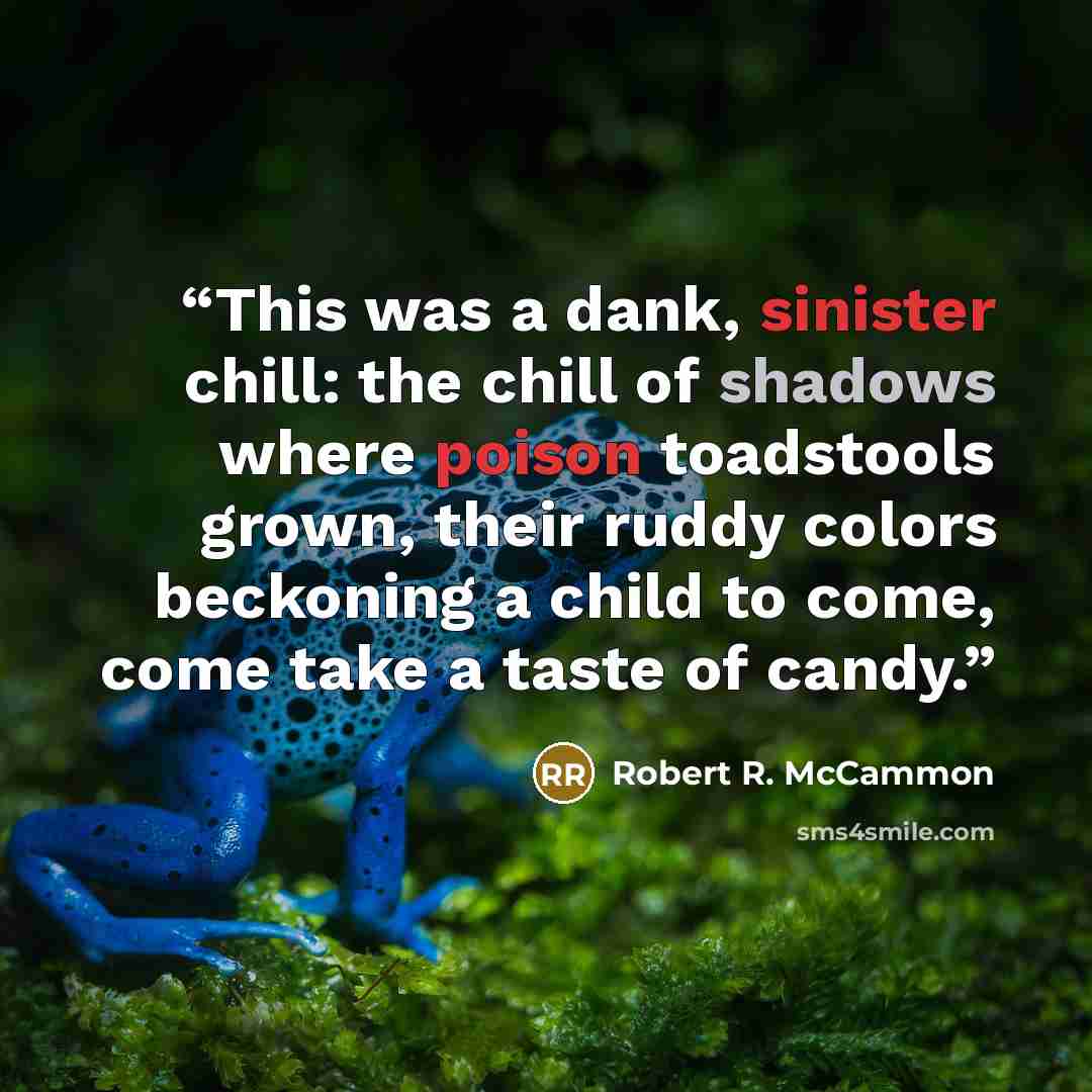 “This was a dank, sinister chill: the chill of shadows where poison toadstools grown, their ruddy colors beckoning a child to come, come take a taste of candy.” quote by Robert R. McCammon