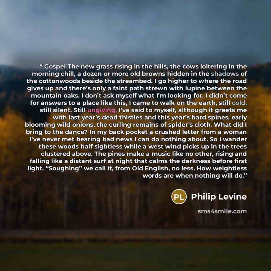 “Gospel The new grass rising in the hills, the cows loitering in the morning chill, a dozen or more old browns hidden in the shadows of the cottonwoods beside the streambed. I go higher to where the road gives up and there’s only a faint path strewn with lupine between the mountain oaks. I don’t…” quote by Philip Levine
