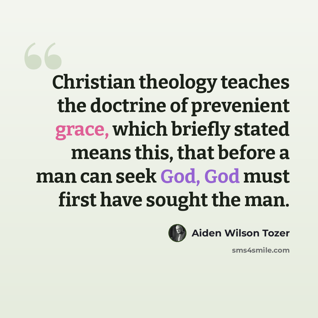 “Christian theology teaches the doctrine of prevenient grace, which briefly stated means this, that before a man can seek God, God must first have sought the man.” quote by Aiden Wilson Tozer