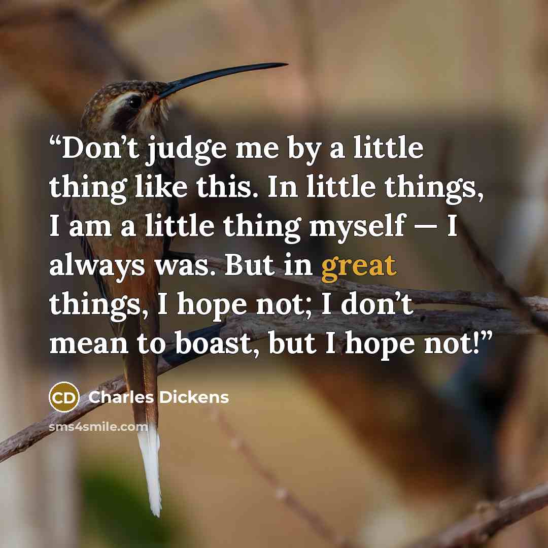 “Don’t judge me by a little thing like this. In little things, I am a little thing myself — I always was. But in great things, I hope not; I don’t mean to boast, but I hope not!” quote by Charles Dickens