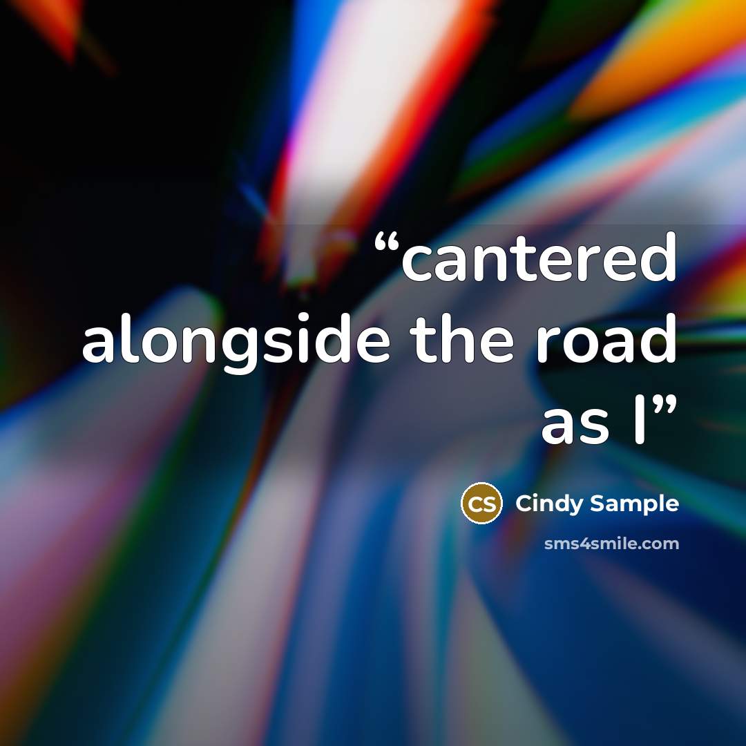 “cantered alongside the road as I” quote by Cindy Sample