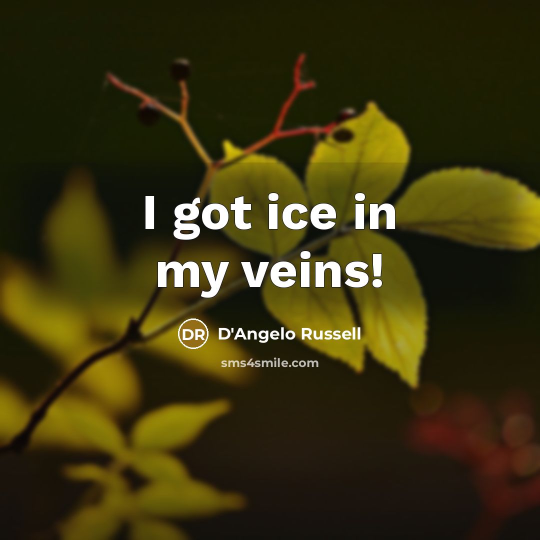 “I got ice in my veins!” quote by D'Angelo Russell