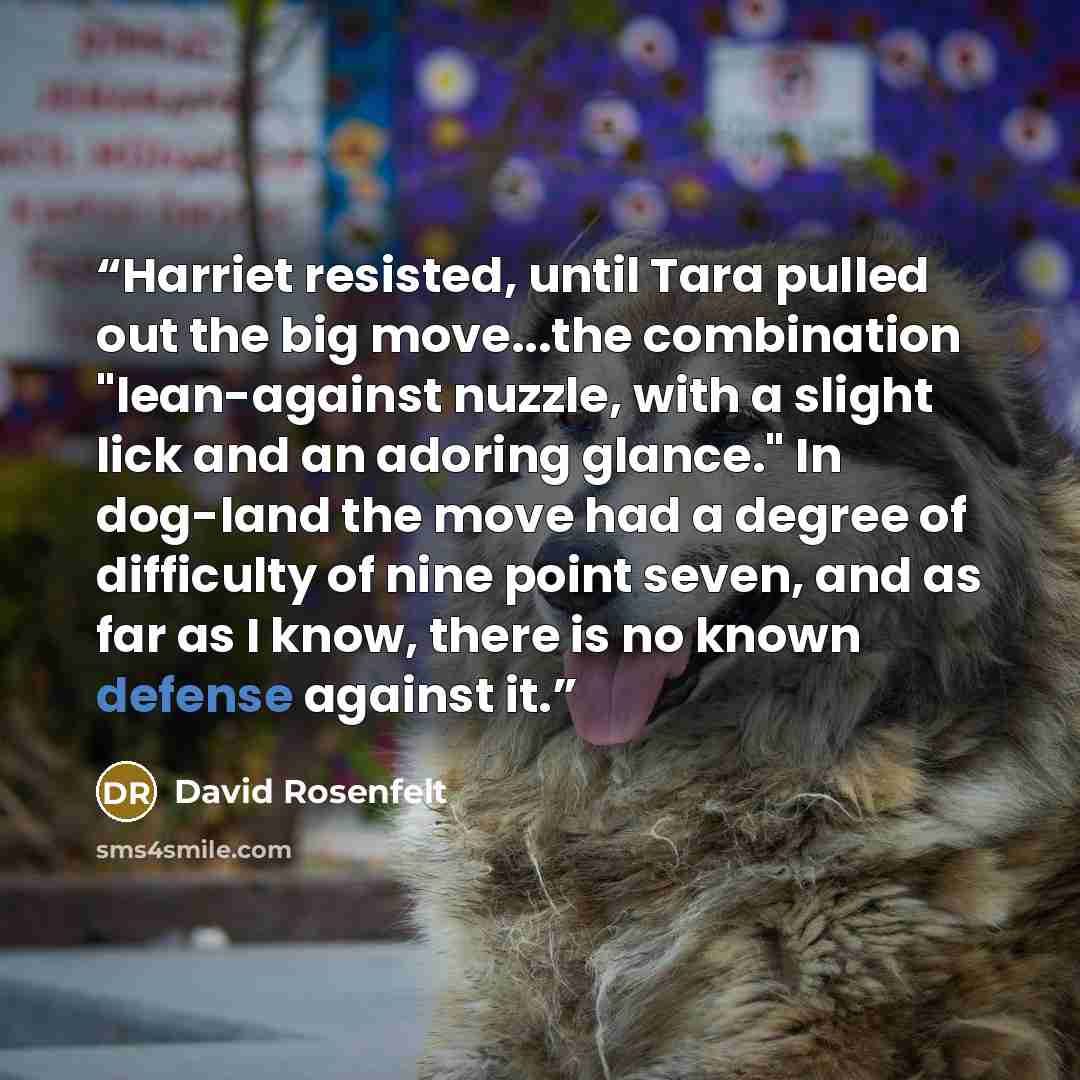 “Harriet resisted, until Tara pulled out the big move...the combination "lean-against nuzzle, with a slight lick and an adoring glance." In dog-land the move had a degree of difficulty of nine point seven, and as far as I know, there is no known defense against it.” quote by David Rosenfelt