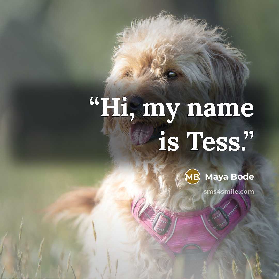 “Hi, my name is Tess.” quote by Maya Bode