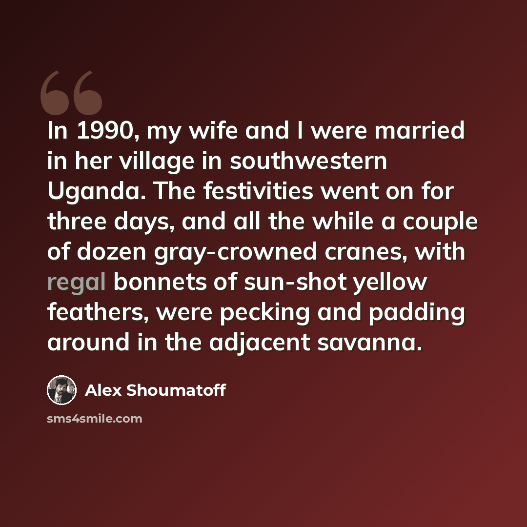 “In 1990, my wife and I were married in her village in southwestern Uganda. The festivities went on for three days, and all the while a couple of dozen gray-crowned cranes, with regal bonnets of sun-shot yellow feathers, were pecking and padding around in the adjacent savanna.” quote by Alex Shoumatoff